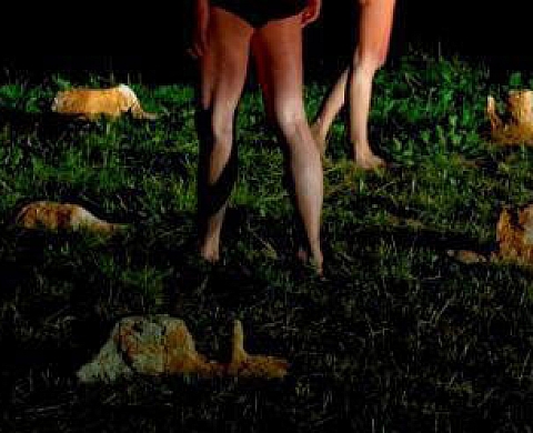 Alix Delmas : Delmas, delmenos