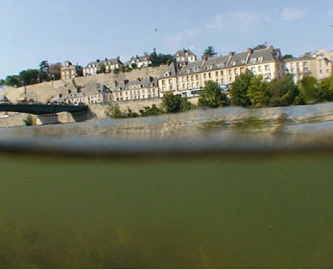 Marcel Dinahet expose Variables