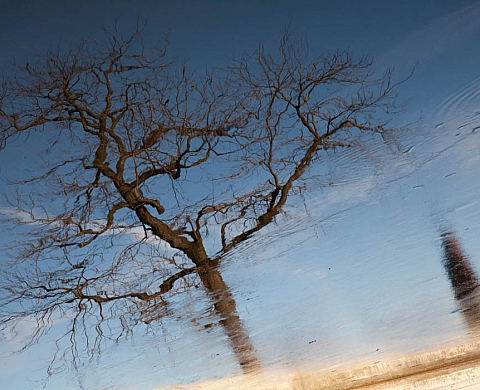 Impressionnisme au fil de l'eau - Hélène Mauri