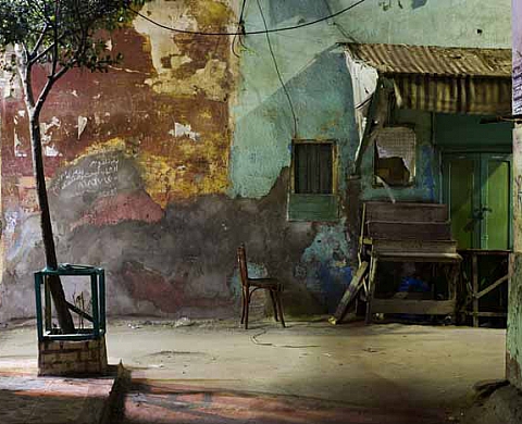 Festival des Agapanthes > Thibault de Puyfontaine