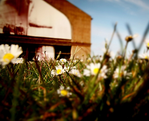Cherbourg, un p'tit coin d'parapluie contre un coin d'paradis, Sabrina Lesert