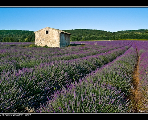 Nature et vieilles pierres - Jean-Louis Yacono