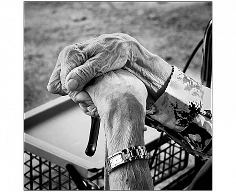 Regard sur nos Aînés , Didier Cataldo