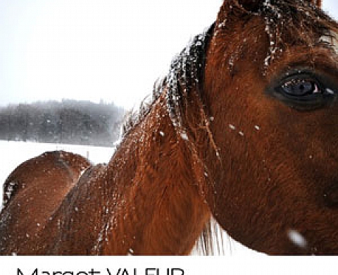 Margot Valeur expose au Centre permanent de la photographie