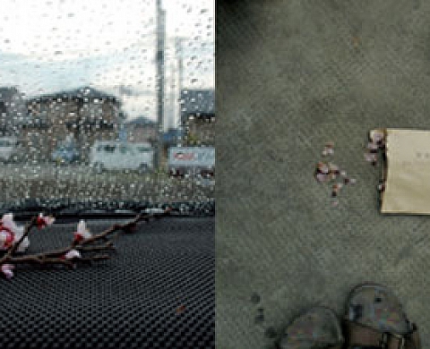 [myrmy:r] à Marseille 