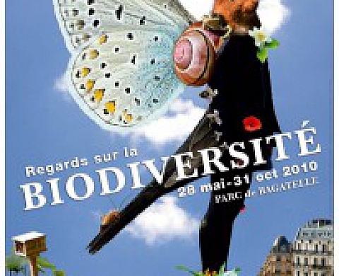 Regards sur la biodiversité - Magali Roucaut Regards sur la biodiversité - Magali Roucaut