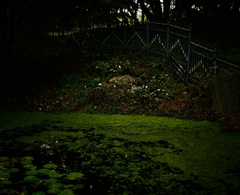 François Trézin, « Shanghai Parks »