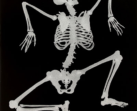  Un monde parfait, photographies et installations d'Henri Foucault