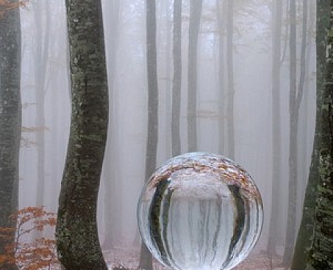 Frédéric Jaulmes - Glaces Fondantes ...