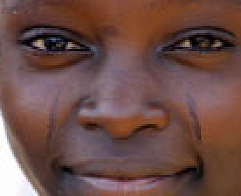 Un Regard sur l'Afrique Maxime Authier