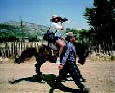 Martin Parr expose à Rennes