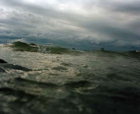 Untroubled somewhere: Asako Narahashi