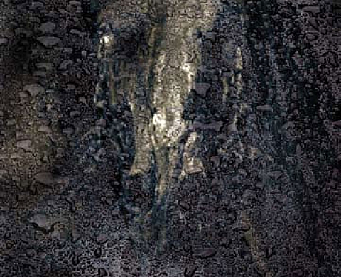 Doutes et Transparences: Jean Pierre Salomon