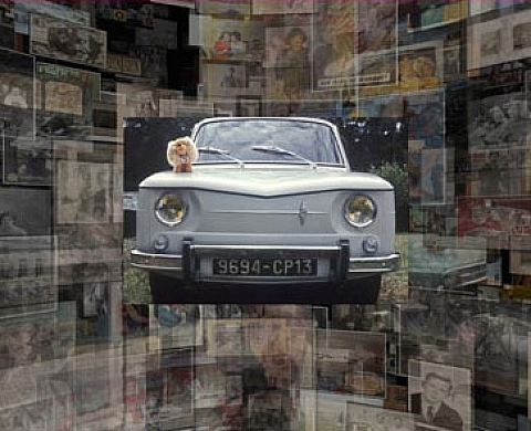 Chambre(s) Claire(s), Note(s) sur la photographie