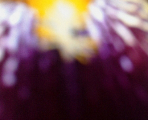 Hanté par la Mémoire d'un Parfum