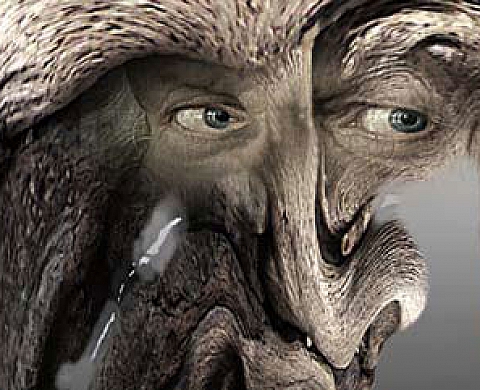 Dialogue; Daniel Liénard aux septièmes rencontre du Livre et de la photographie