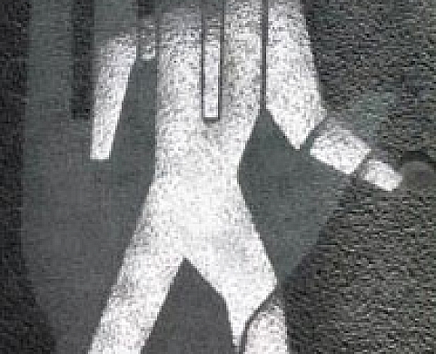 Hans Ulrich Obrist présente Shannon Ebner