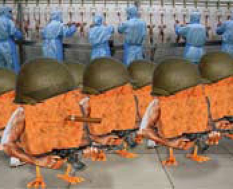 Traitements et manipulations numériques de l'image