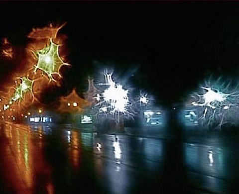 Darius Khondji présenté par Hans Ulrich Obrist