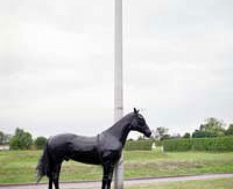  Dialogue:Marc Wendelski