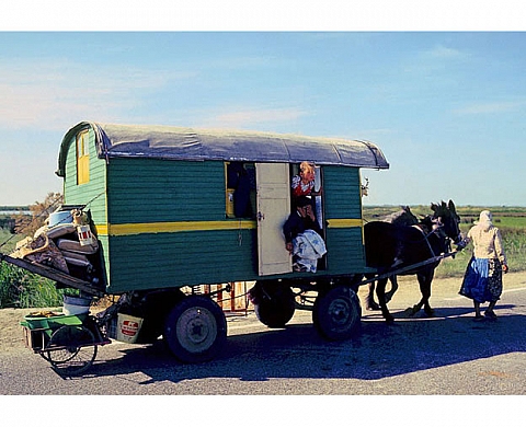 Gitans - Claude Noyer