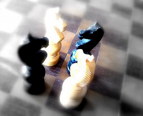 Calva'cade de Dominique Meynier