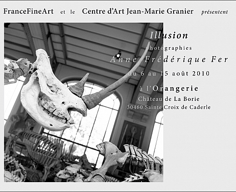 Illusion Anne-Frédérique Fer