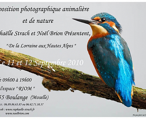 Photographies animalières et de nature. Noël Brion et Raphaëlle Strach.