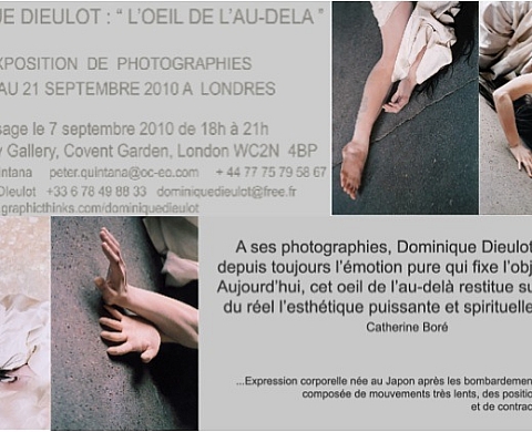 L'OEIL DE L'AU DELA     Dominique Dieulot