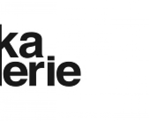 La vie en face à la galerie Polka, Stanley Greene, Peter Lindbergh