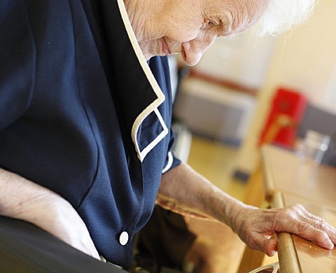 Voyage en Babelonie pour Le trai, contre la maladie d'Alzheimer