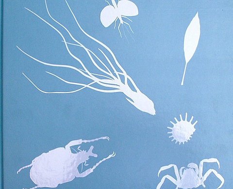 Trompe-l'oeil quand la nature fait illusion de Gilles Mermet et Yves Paccalet 