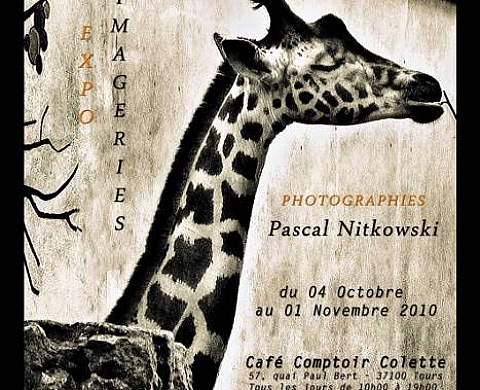 Animageries, dans le cadre des Photofolies en Touraine 2010