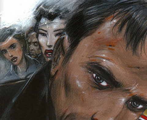 LA FÊTE À BORO Les aventures de Boro, reporter photographe