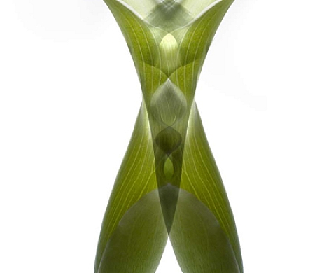 Transparence/Florence VERRIER