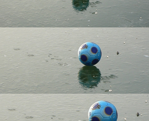 Mon Expo en Vitrine 2010: Amaury Orbaïceta-Leoz à Canal Bio