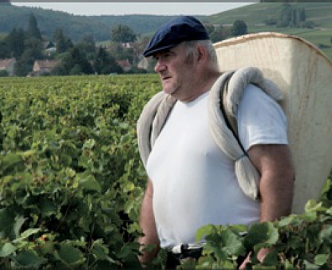 Les hommes et le vin - Christian Brin 