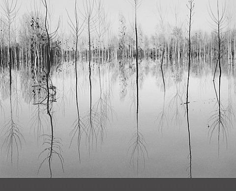 Exposition Bernard Descamps