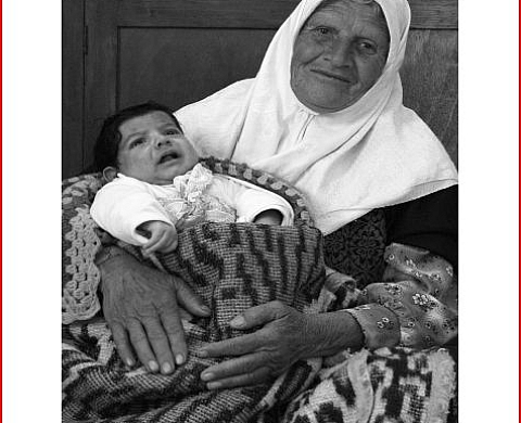 Regards de Femmes Palestiniennes vers la Paix - Myrtille Photographe