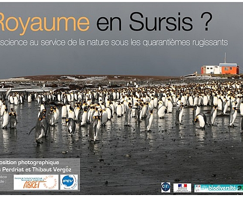 Royaume en Sursis ? la science au service de la nature sous les quarantièmes rugissants