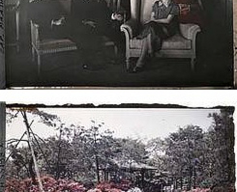  Clichés japonais,1908-1930: le temps suspendu