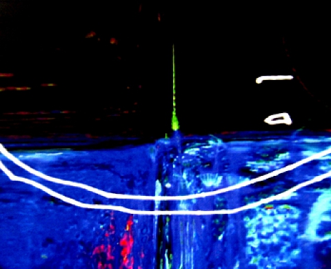 Les Fleurs de la Loreley 