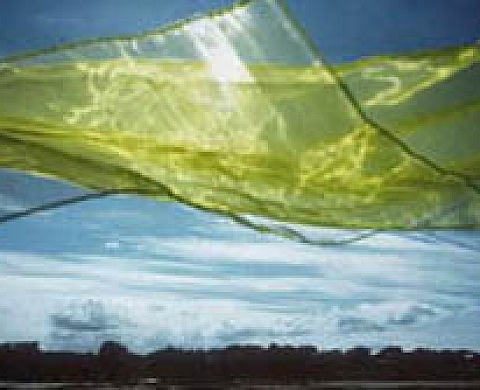 Dialogue avec la nature - Catherine Brébel