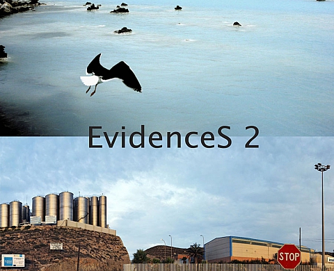 EvidenceS 2 - Alain Gualina / Henri Kartmann EvidenceS 2 - Alain Gualina / Henri Kartmann