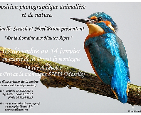 Exposition photographique animalière et de nature