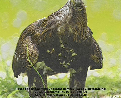 Expo photo animalière - Jean-Marc Fanon