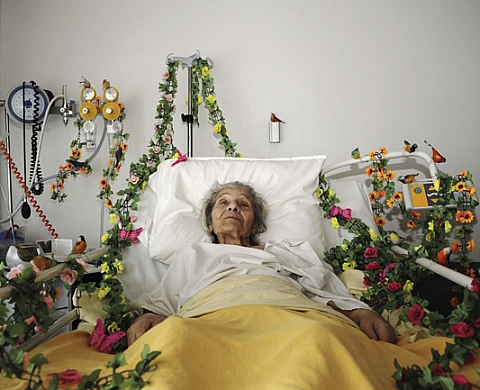 Andréa Vamos - N'habite plus à l'adresse indiquée