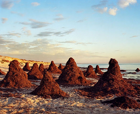 Season10 - Stills Gallery, Sydney