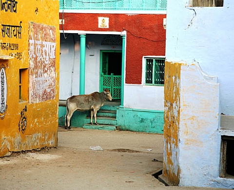 World Wide Walls, volume 2 : Jodhpur/Marrakech de Fabien Monsinjon