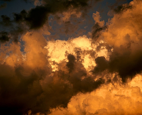 Nature et figure(s) de Jean Luc TARTARIN